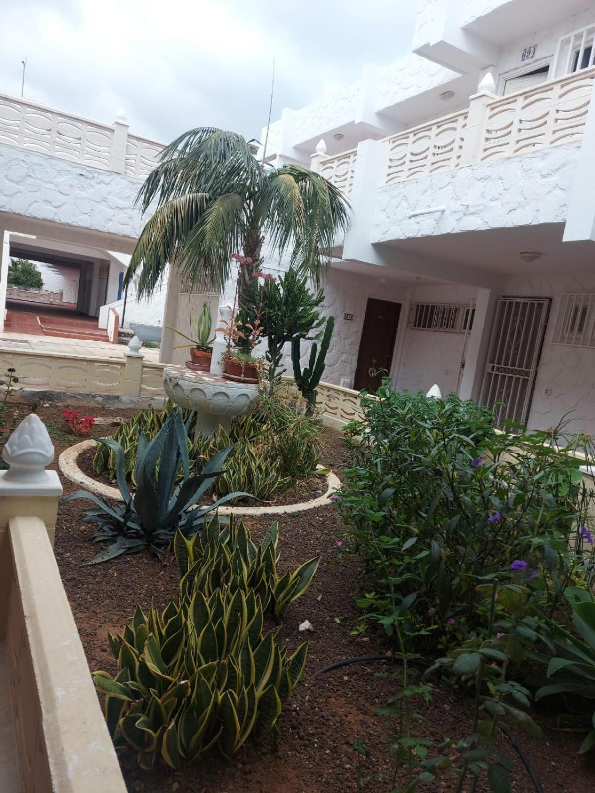 Apartament Casa Papagayo Arona  Zewnętrze zdjęcie