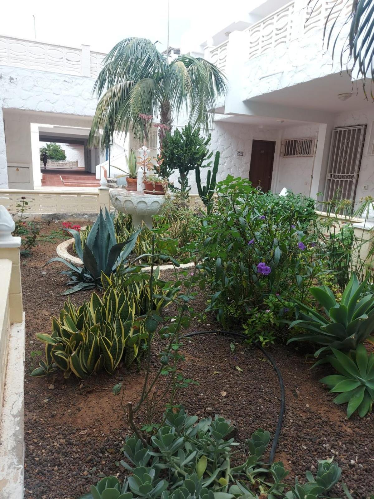 Apartament Casa Papagayo Arona  Zewnętrze zdjęcie